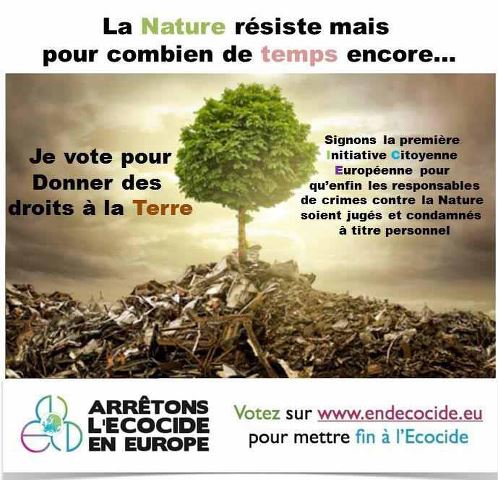 jevotepourdonnerdesdroitsàlaterre