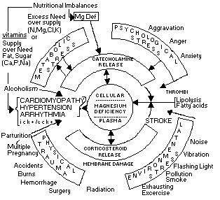 Le magnésium, agent universel de régulation des stress de tous ordres