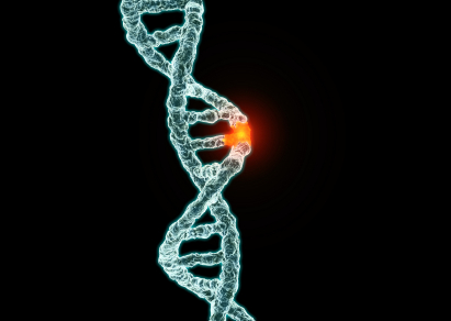 Les conséquences des défauts de réparation de l’ADN