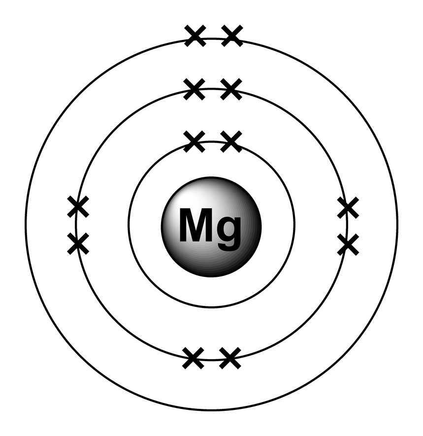 Magnesium schéma