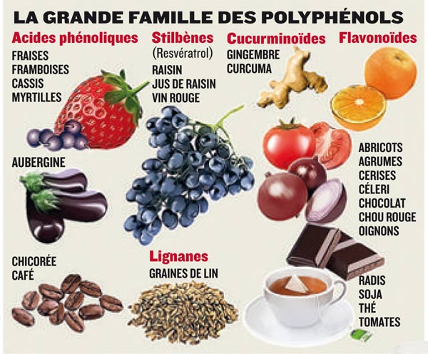 tableau-polyphenols