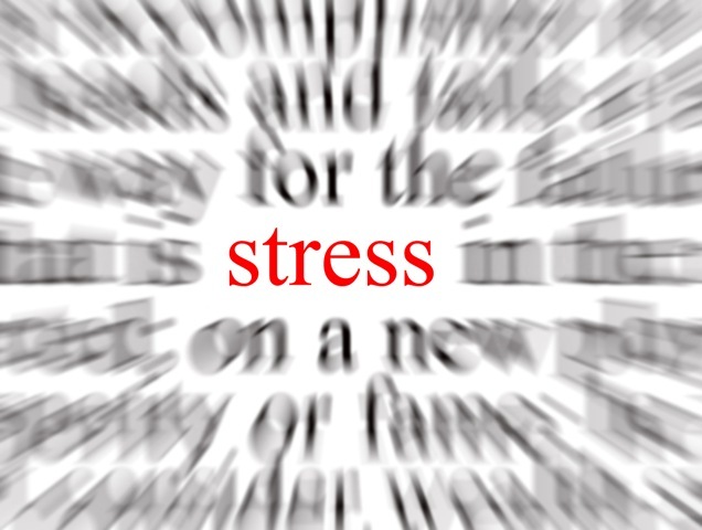 stress compo visuelle