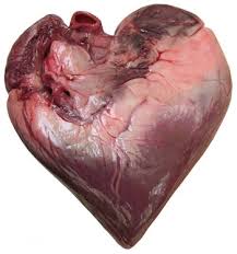 COEUR VIANDE PHOTO