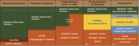 CARNÉ-VÉGÉTAL HOMINIDES