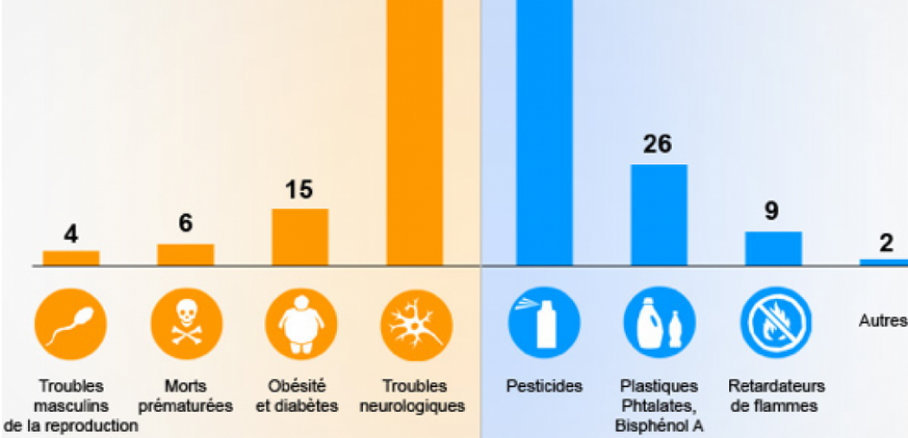 COUT PERTURBATEURS ENDOCRINIENS