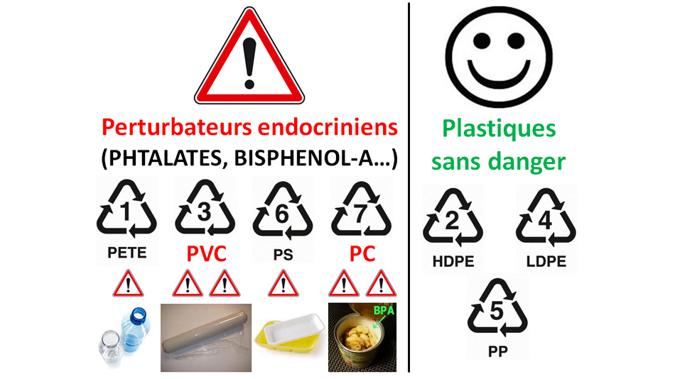 PLASTIQUES AVEC SANS PERTURB ENDOC